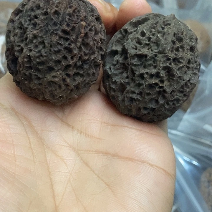 木质类云南铁核桃基地12