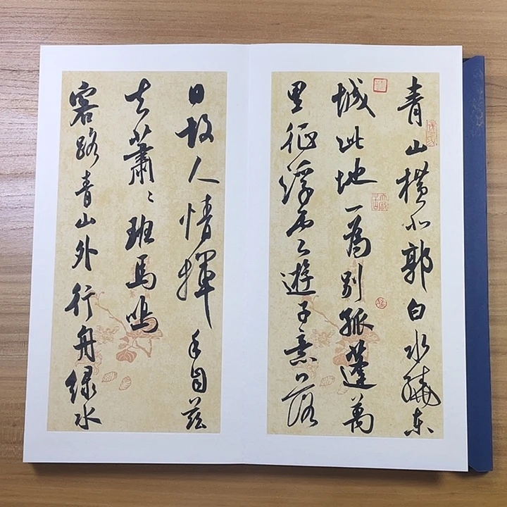书法中书协会员作品