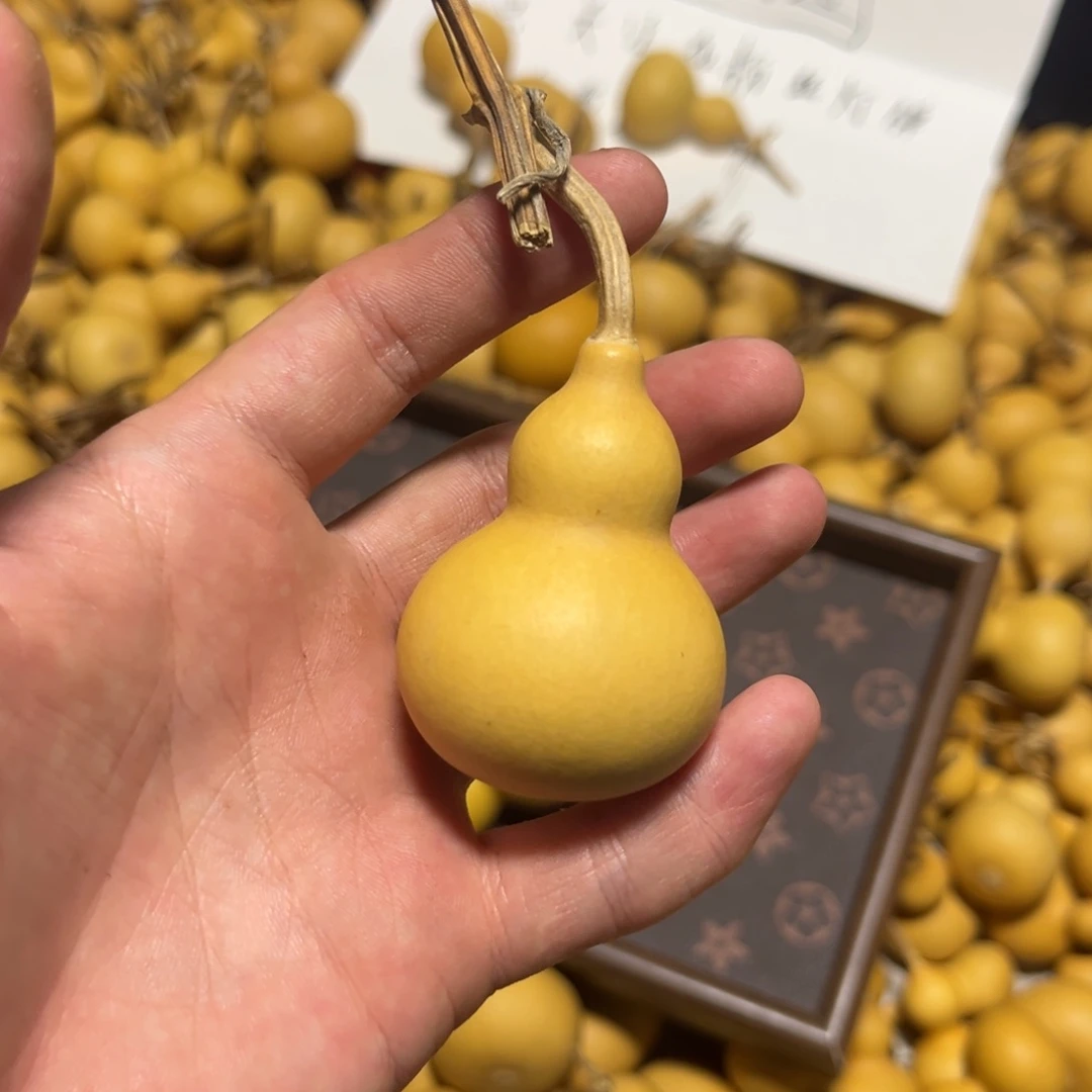 高***菜葫芦胖墩福利单品