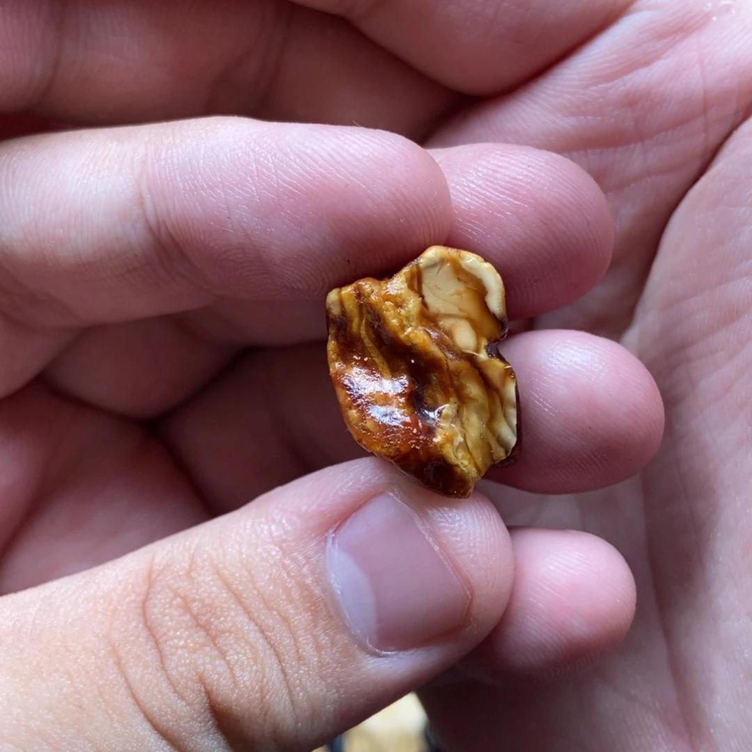 定制琥珀未镶嵌定制