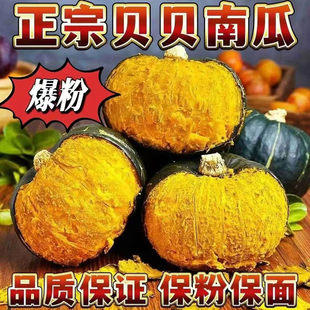 1正宗贝贝南瓜板栗味老南瓜批发新鲜蔬菜孕妇宝宝辅食