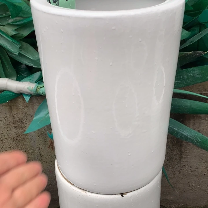 花盆里的小猫咪们都好可爱