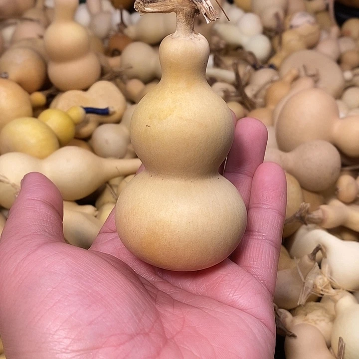 爱***谁精品葫芦手把葫芦13