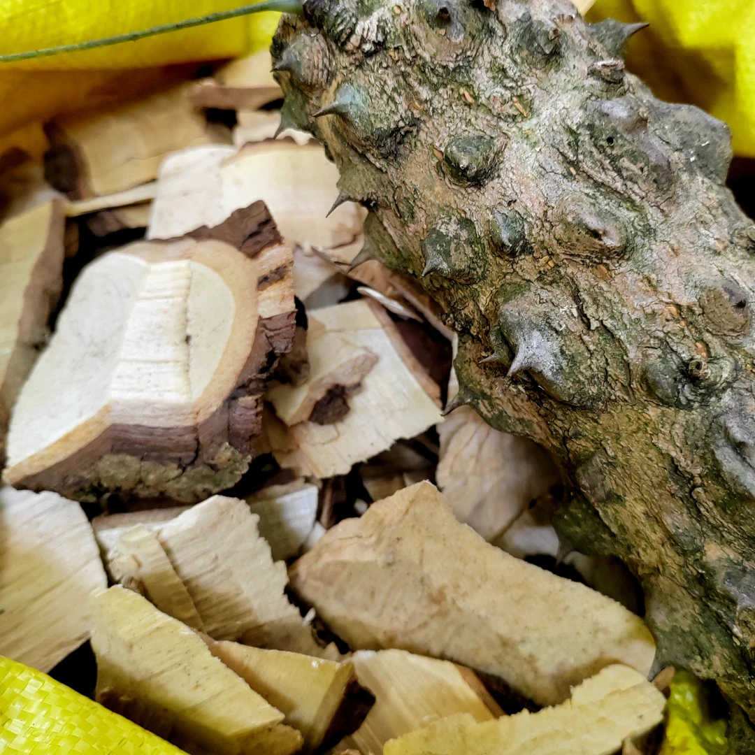 刺楸树 干货500克【寺窗专属】