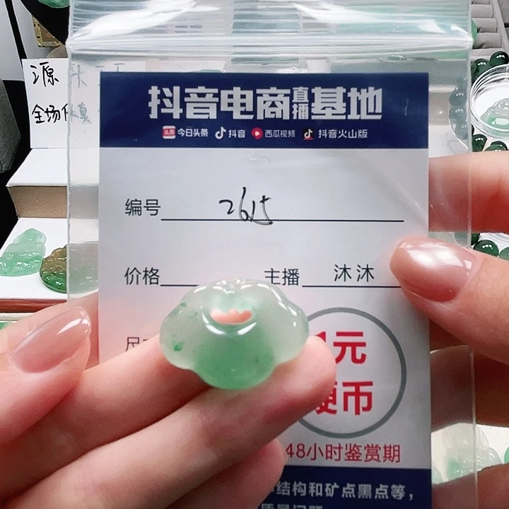 石英质玉未镶嵌颈饰