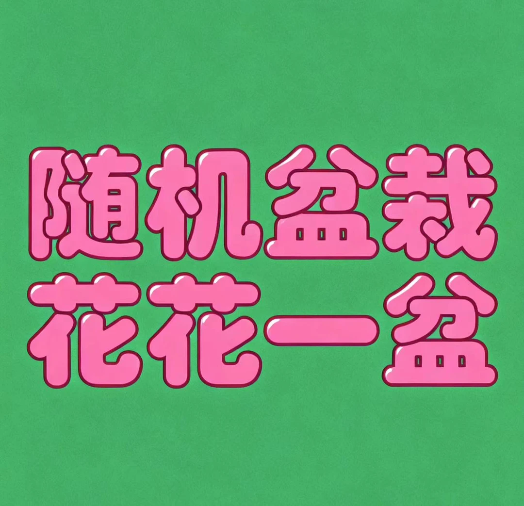 随机一盆在售盆栽花花多年生