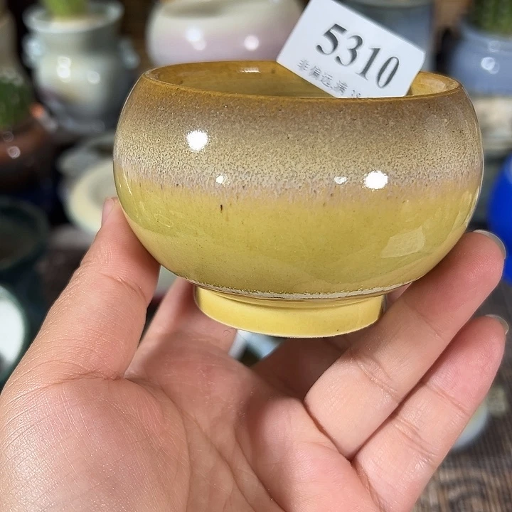 口6 手工花盆满30包邮