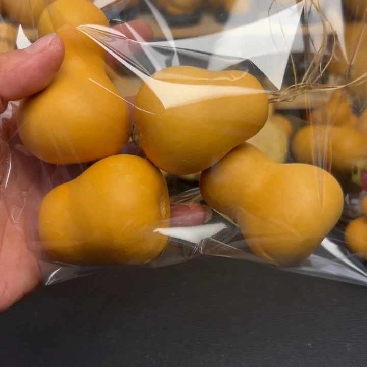 揽*15555566656565566699