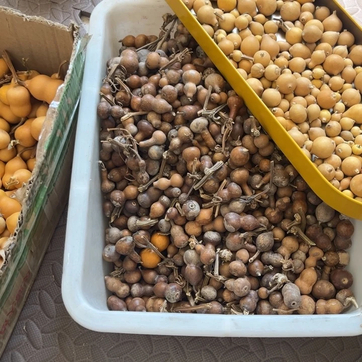 嘀*胖墩二十个好好好好