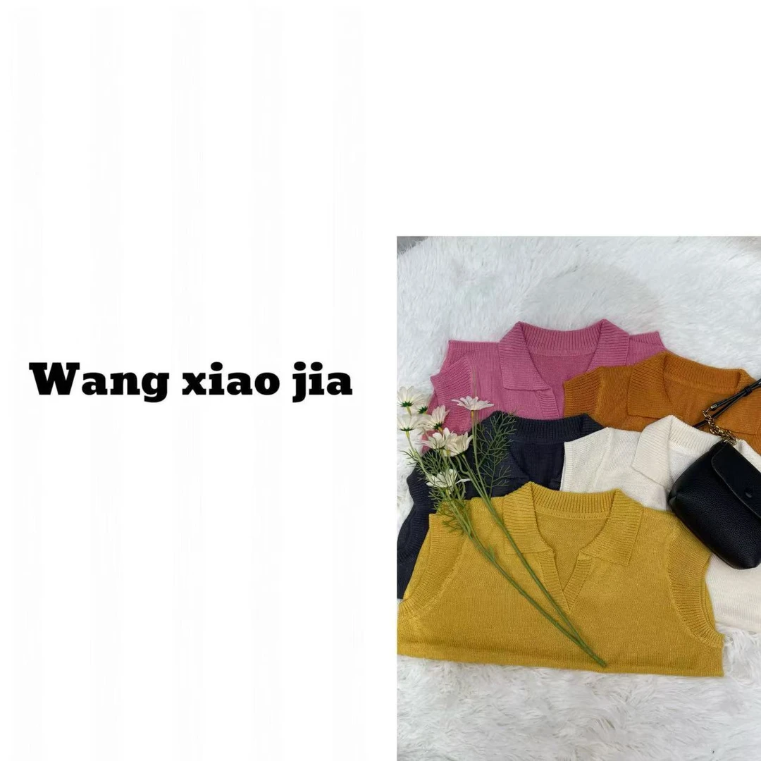 【王晓家】新款V领翻领针织小衫【 穿过，洗过，拒绝售后】