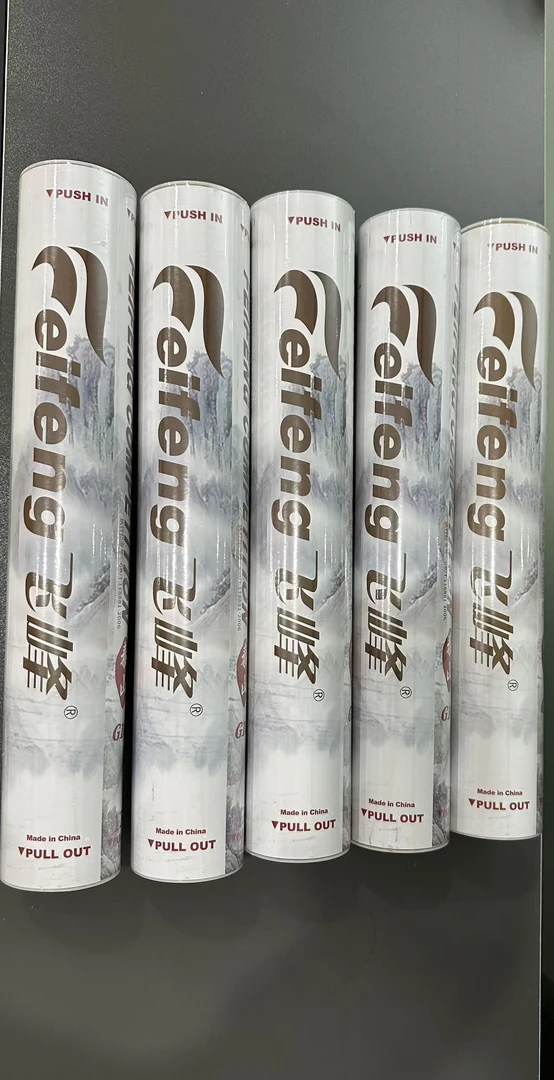 飞峰羽毛球G10耐打稳定鹅毛12只装训练比赛专用球