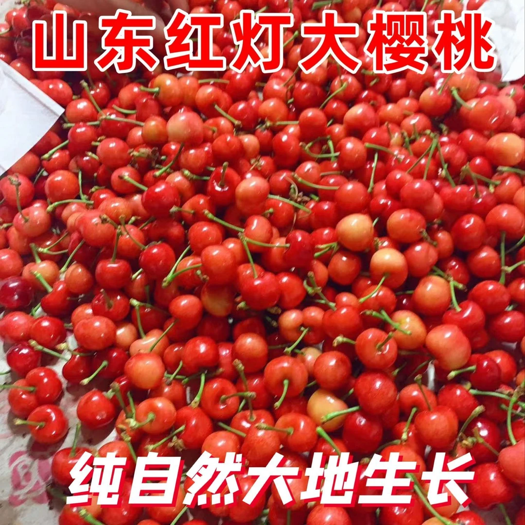 山东新鲜露天红灯樱桃邮政空运应季酸甜口