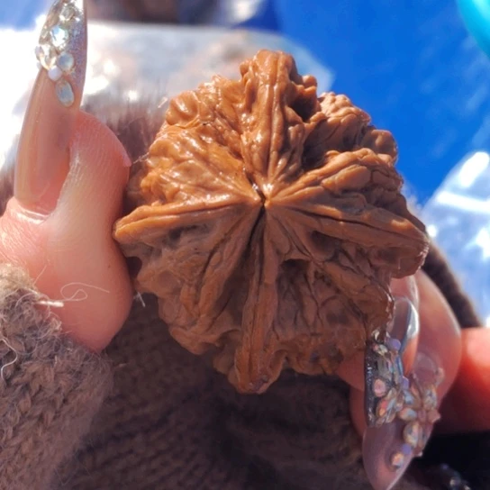 文玩核桃吊坠三棱挂角