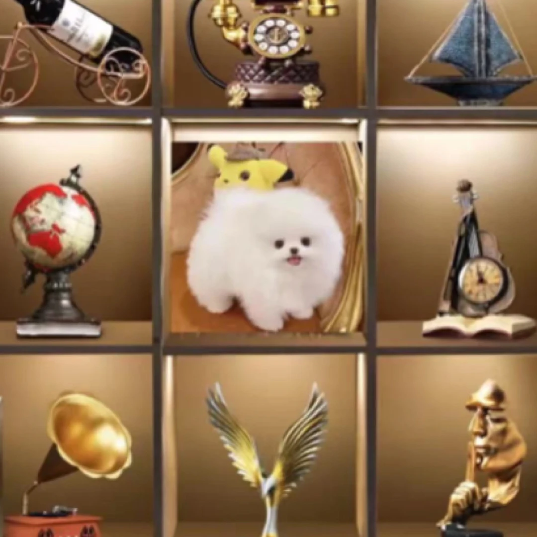 相册本大容量家庭博美横竖宠物金毛寸1000影集塑封比熊宝宝儿宠物