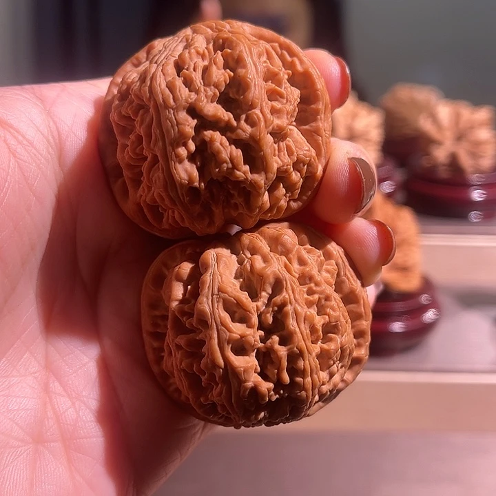 核桃大粗筋全品无休