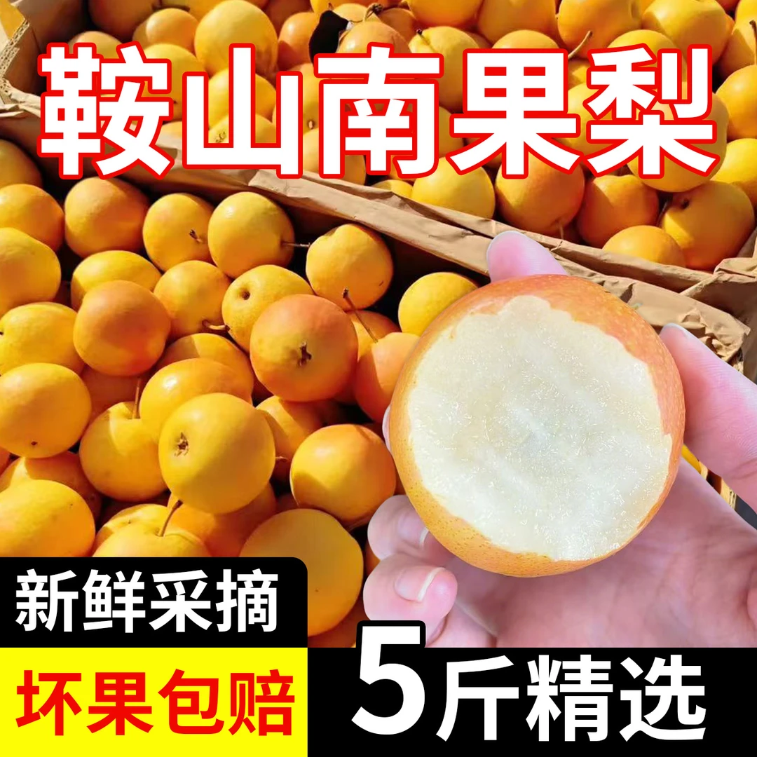 正宗正宗南果梨辽宁鞍山南果梨海城特产新鲜水果辽宁梨子5斤酸甜