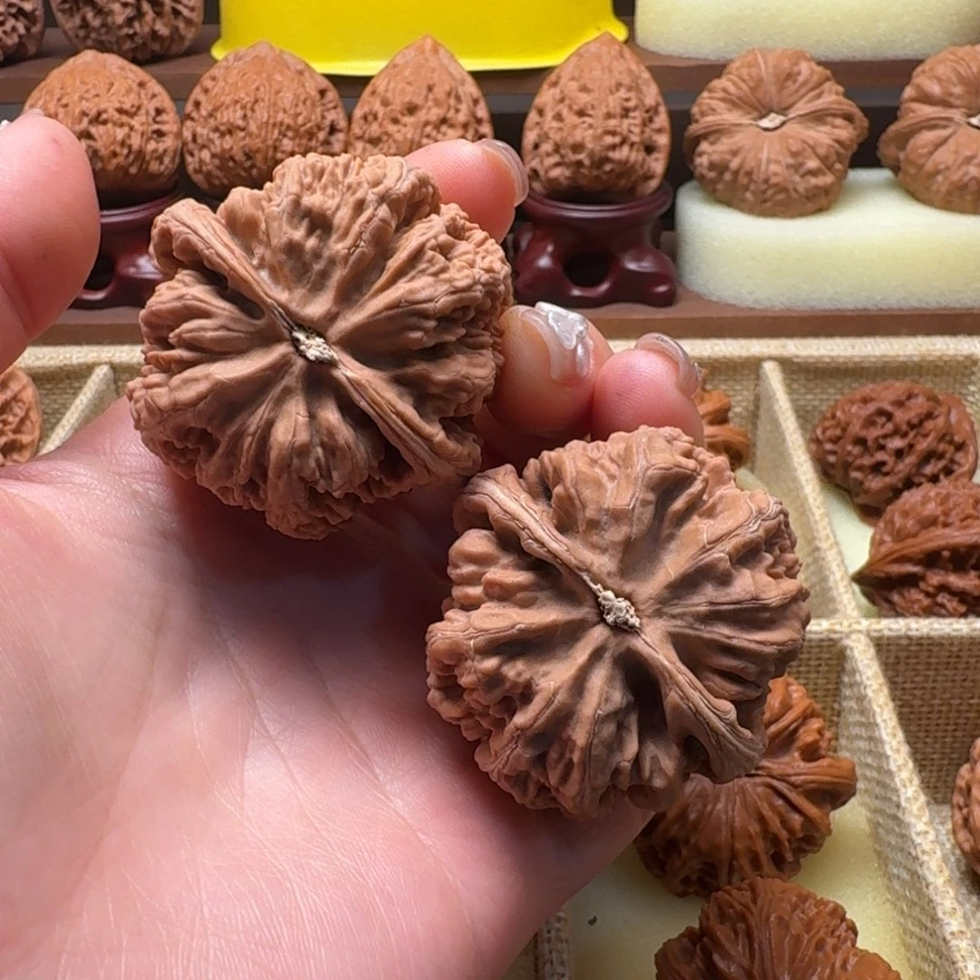 文玩核桃吊坠43粗筋