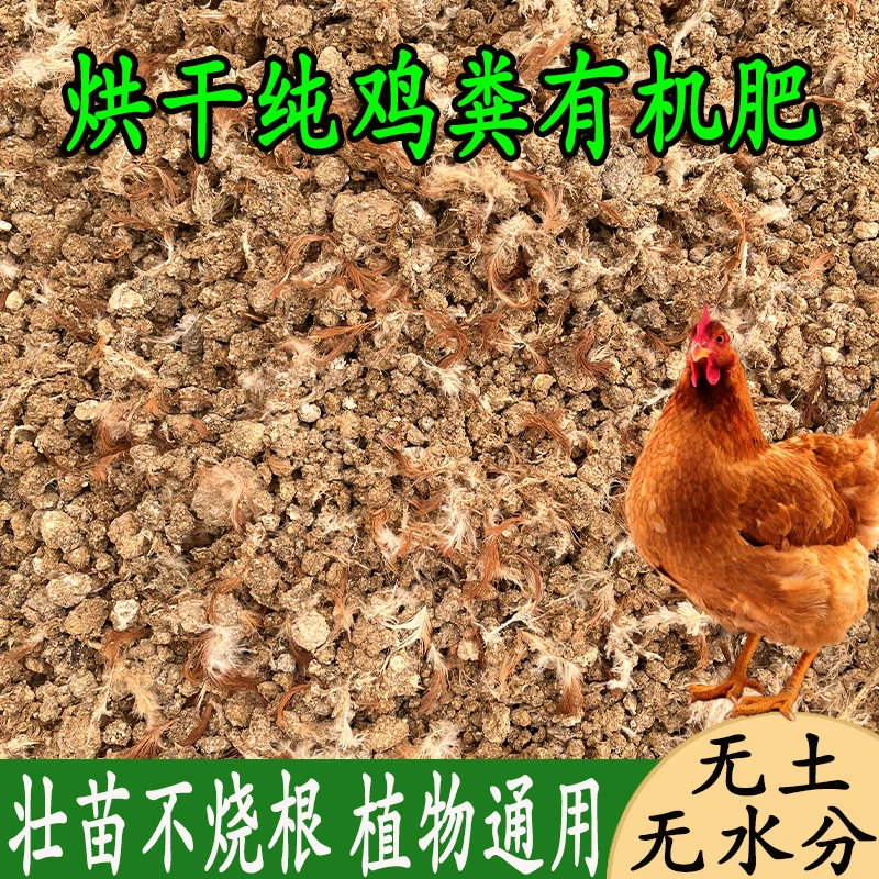 纯干鸡屎粪肥料无虫无土阳台种菜花果树通用农家肥一吨氮磷钾