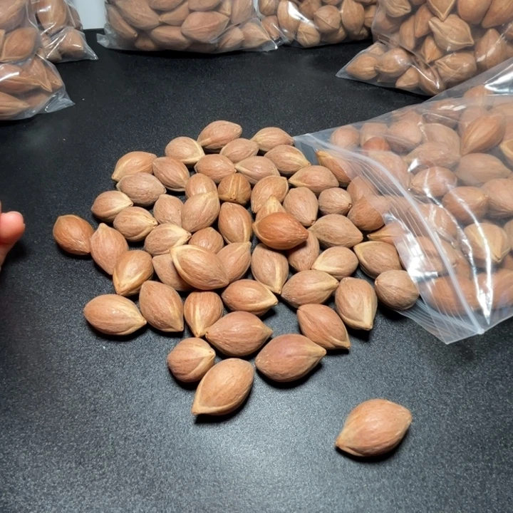 外***鹏猪牙手串/手链你的