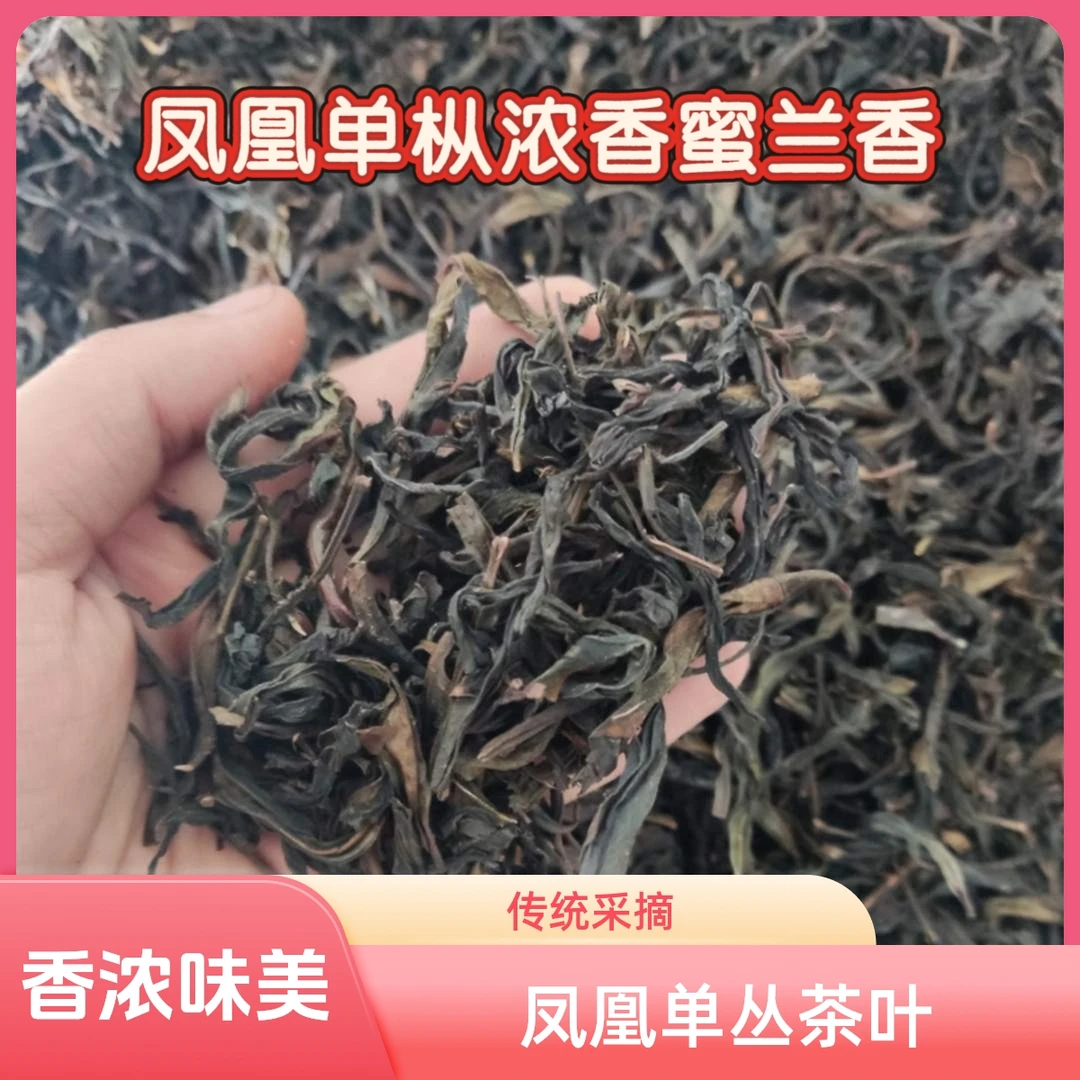 凤凰单丛蜜兰香  茶叶清香浓香传统采摘绿色珍品  礼盒滋味口味