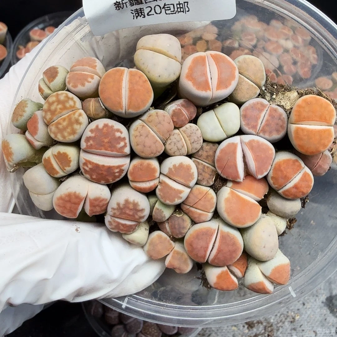 是一个不想要被打扰被072哈哈