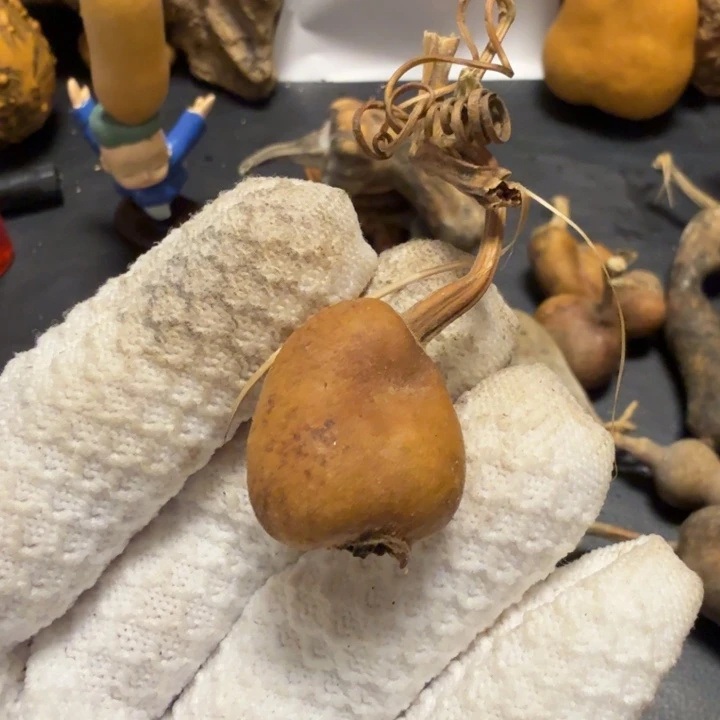 小***舟666667777666777777