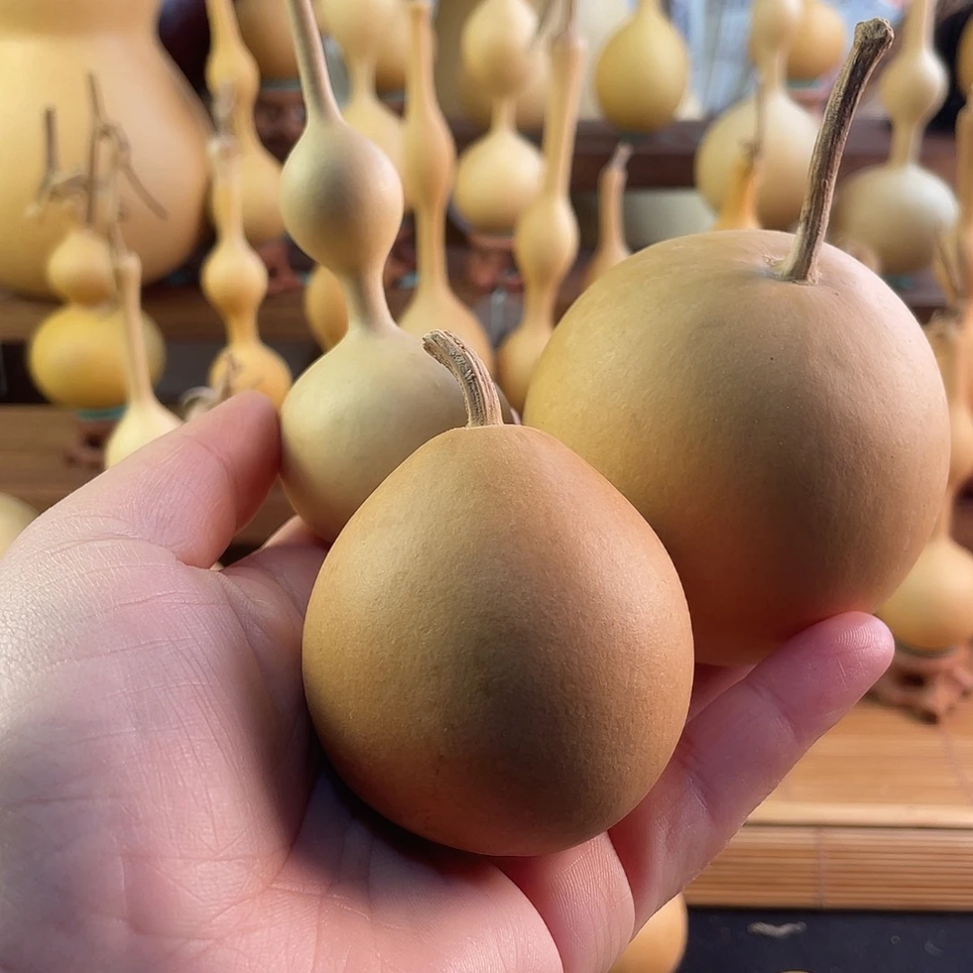 三***哥葫芦直播间为准已直播间为准