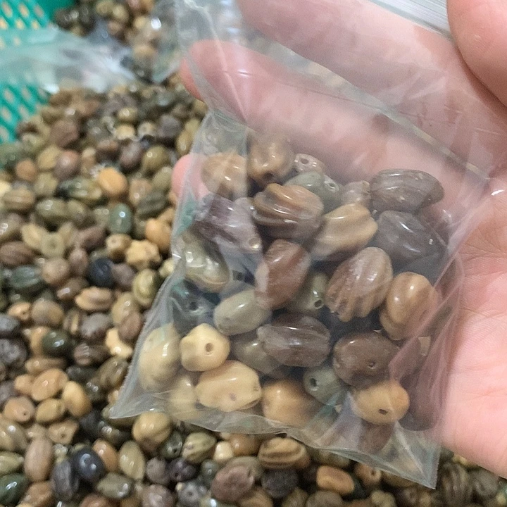 小***️吊坠千眼菩提龙脊