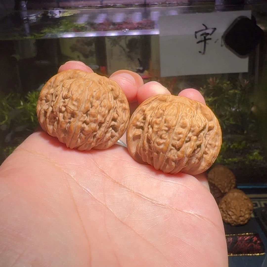 N*O39全品山西汉高楼文玩核桃