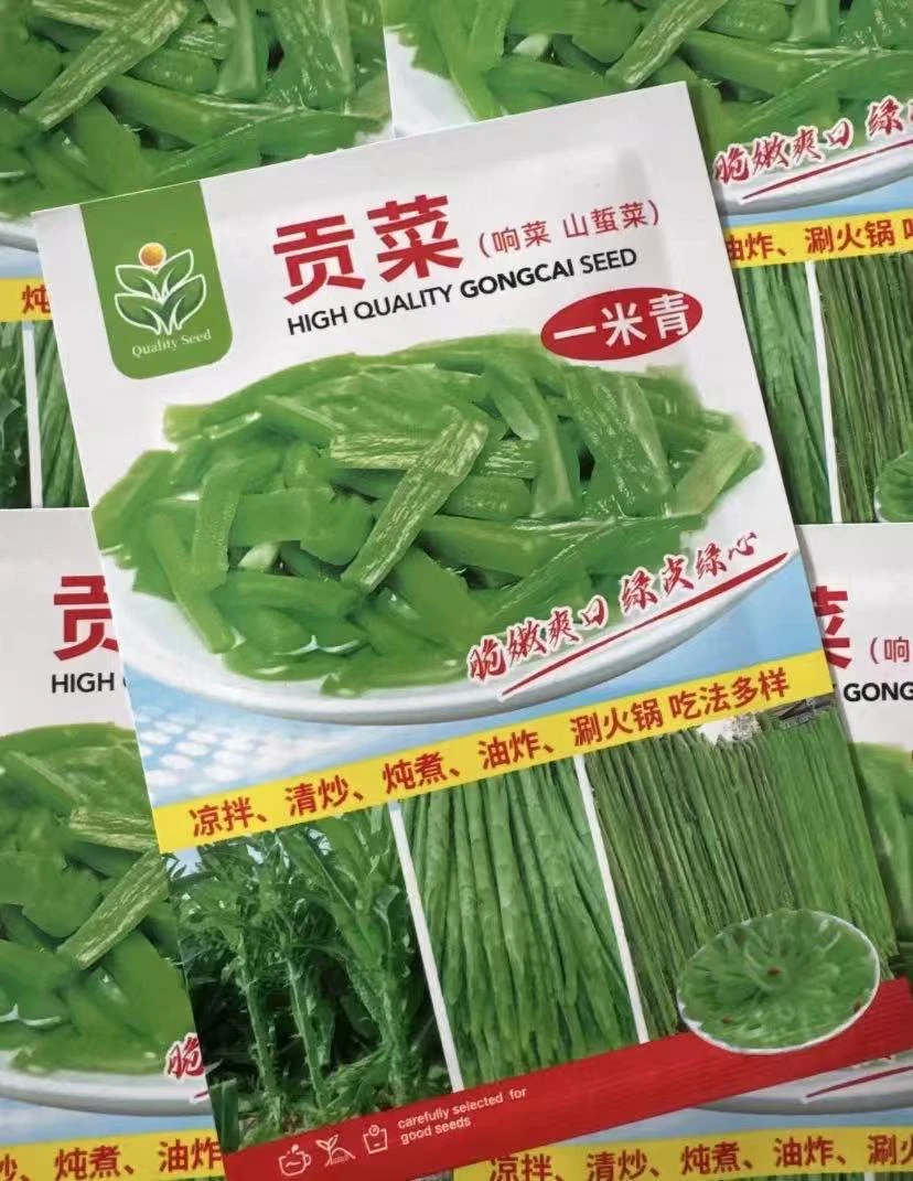 【一米青贡菜种子】家庭阳台小院盆栽地栽四季种植