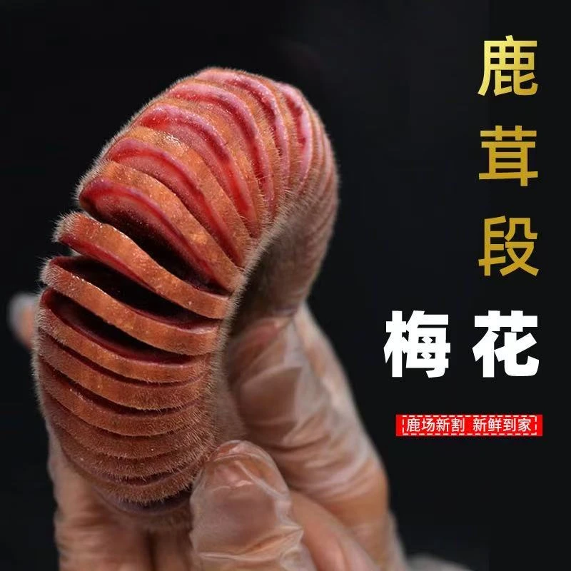 吉林鹿乡 产地直发 新鲜鹿茸