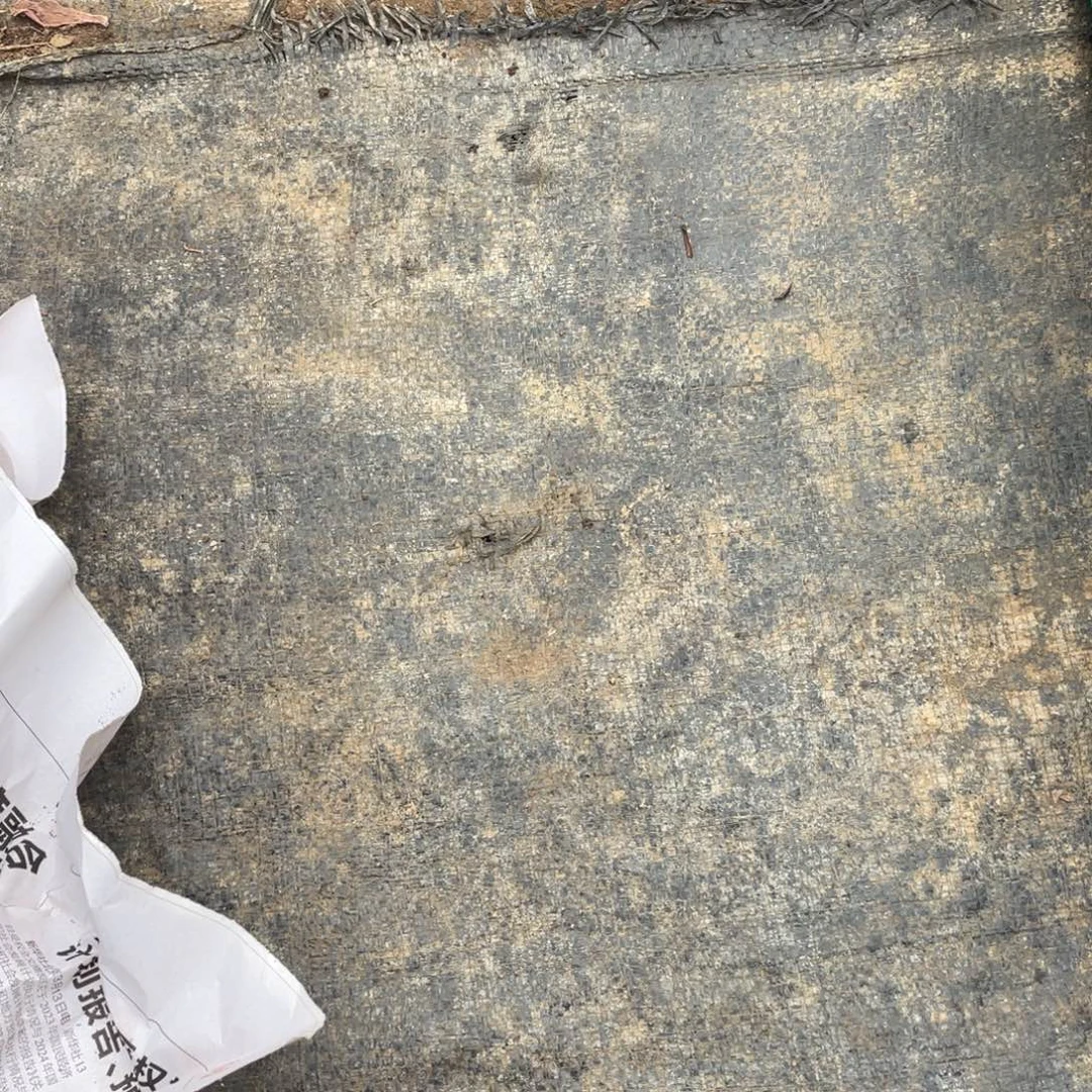 柒***寶多肉植物的生长发育与