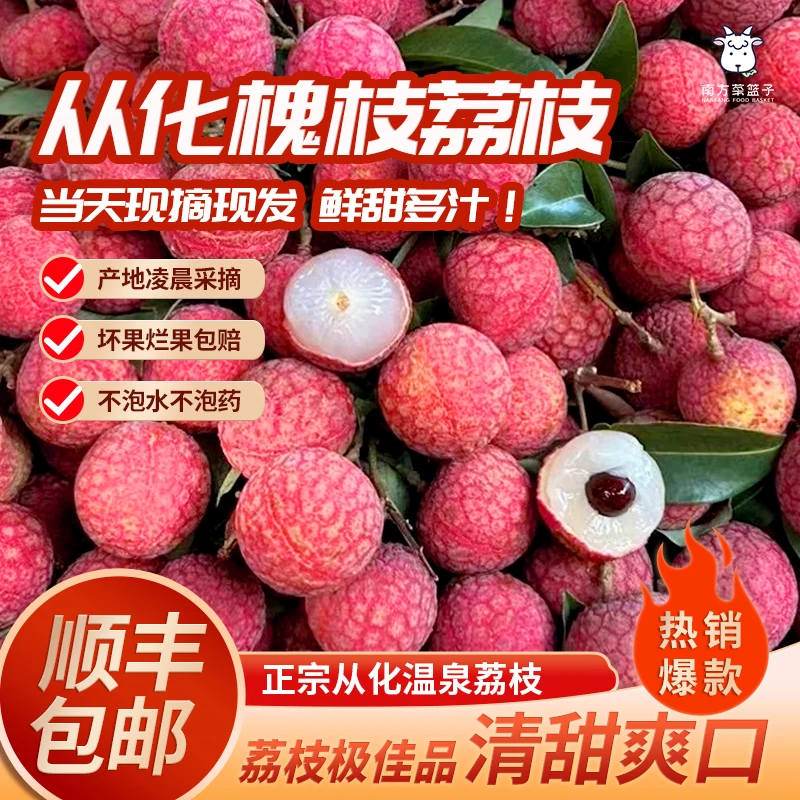 顺丰空运特快【从化槐枝荔枝】很有荔枝味新鲜现摘现发肉厚清甜口感