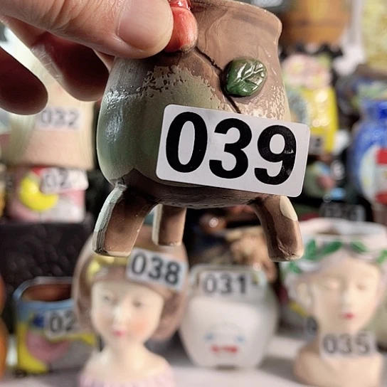 红陶多肉植物花盆