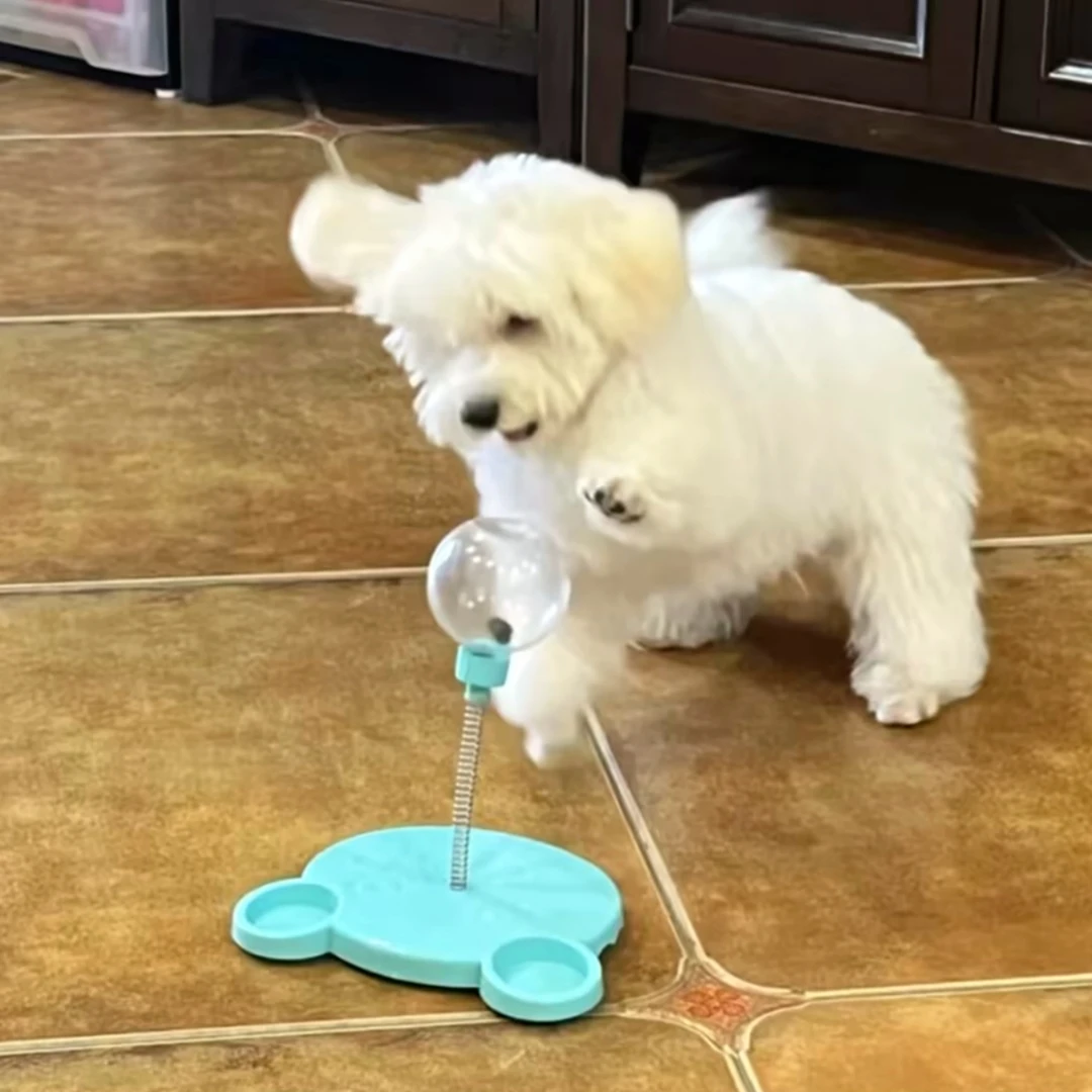 宠物摇摆漏食球解闷玩具网红同款泰迪比熊博美狗狗自嗨益智慢食器