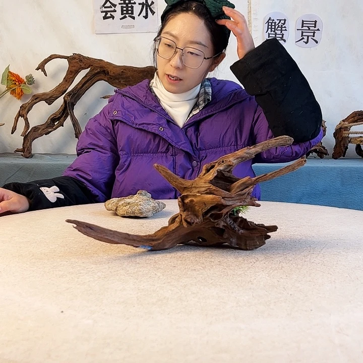 新年快乐沉木造景