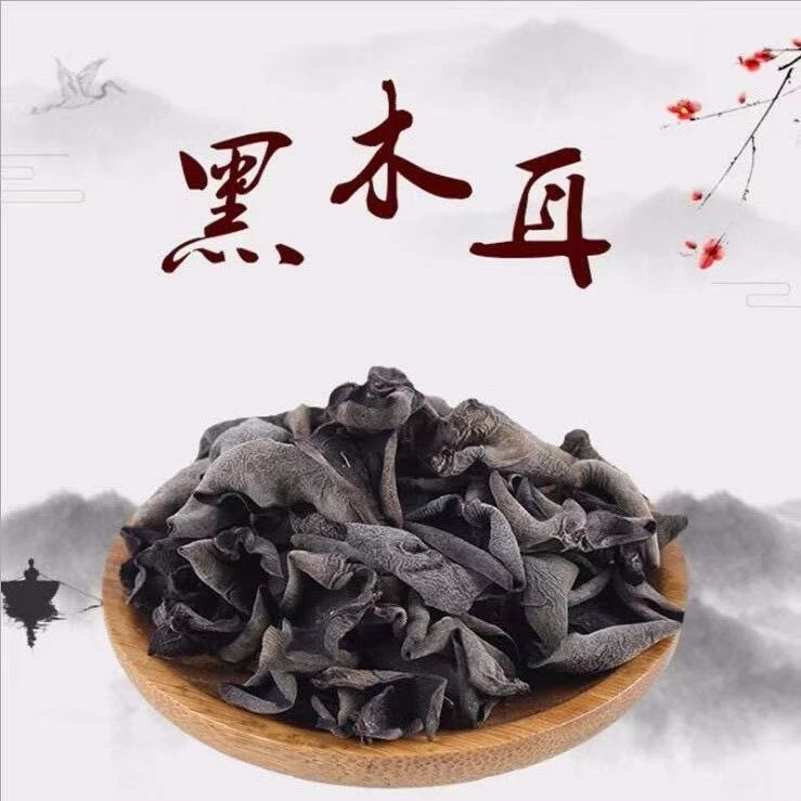 头茬秋木耳肉厚无根1斤