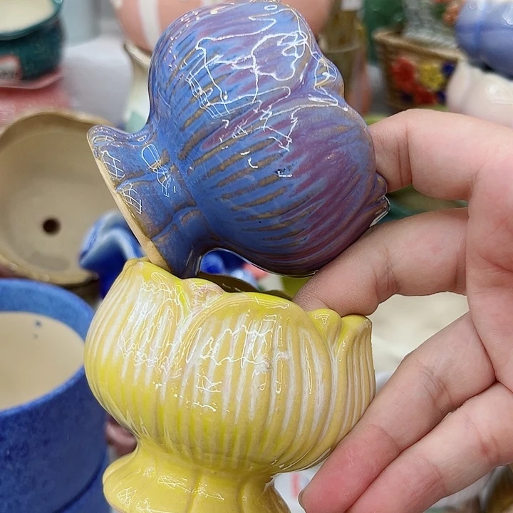 多肉植物陶瓷花瓶，有空