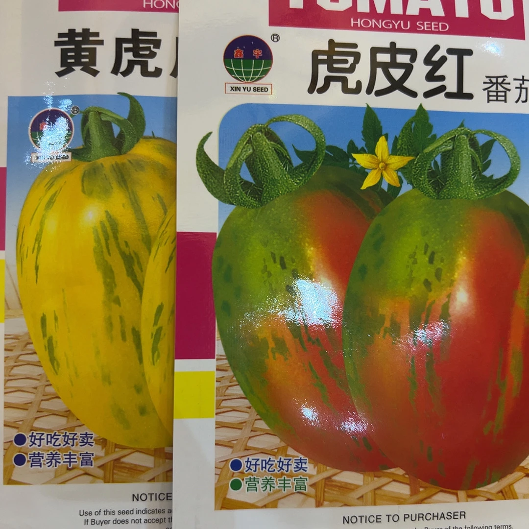 虎皮黄，虎皮红番茄种子