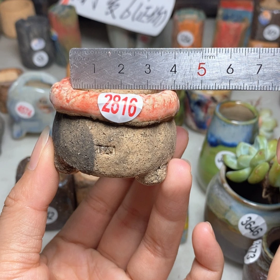 拍5送一个小礼物