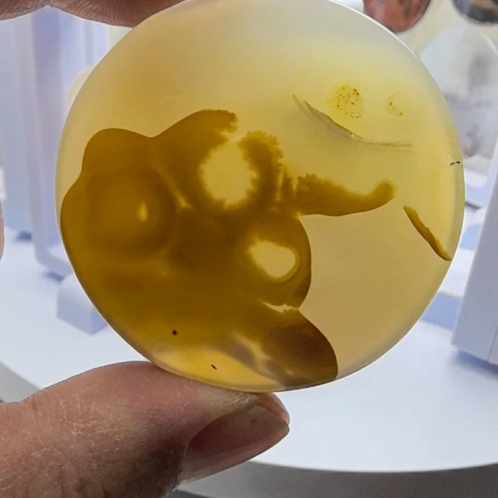 非金属时尚饰品46