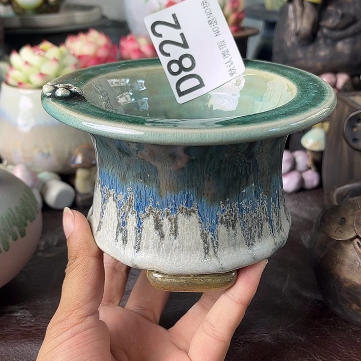 重庆小燕子欢迎大家822