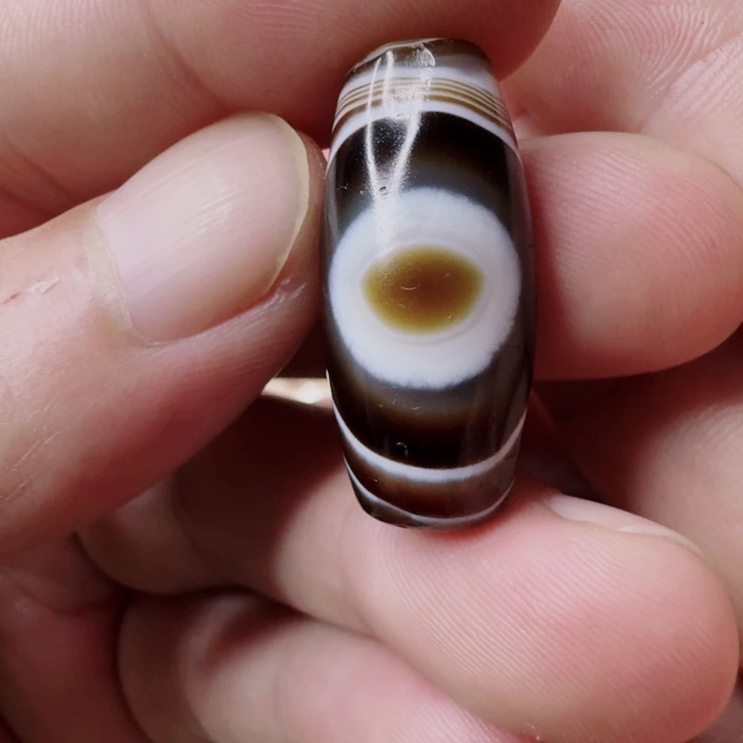 福**财高速公路直达专拍