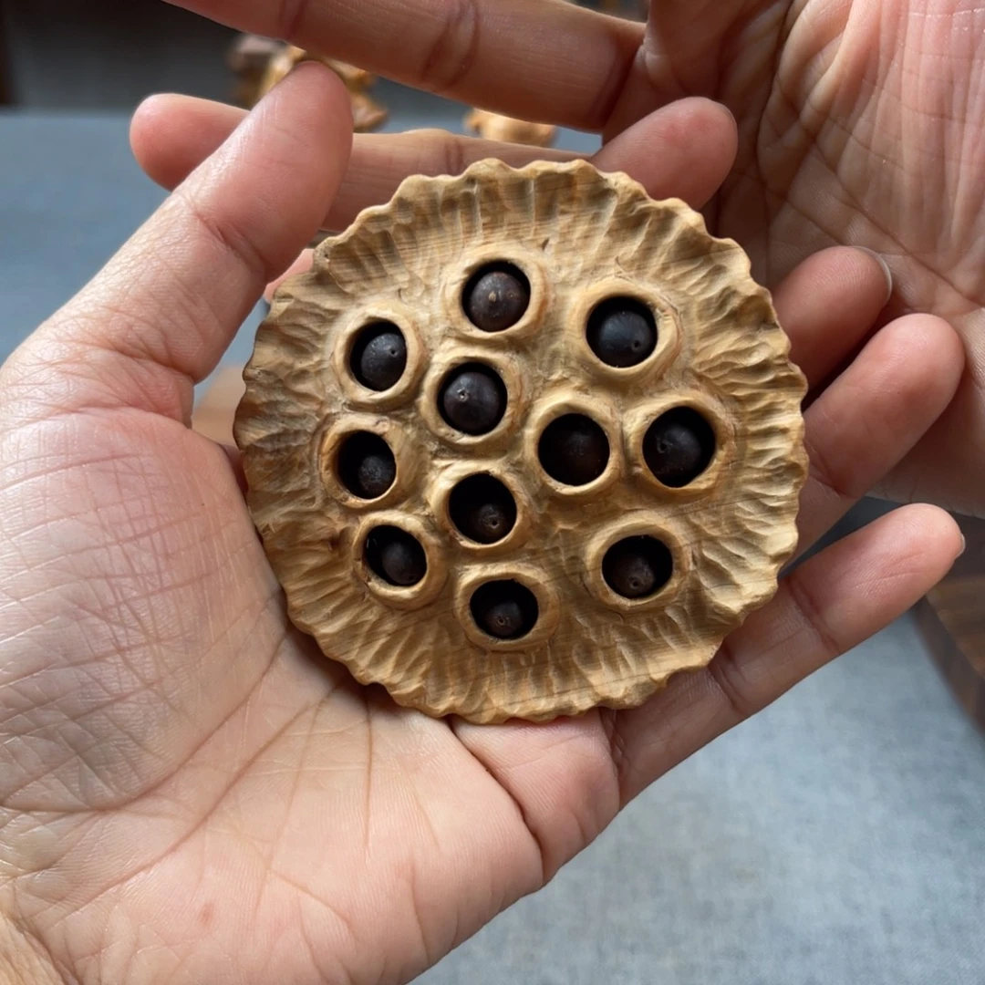 柏木（崖柏）崖柏太行山脉