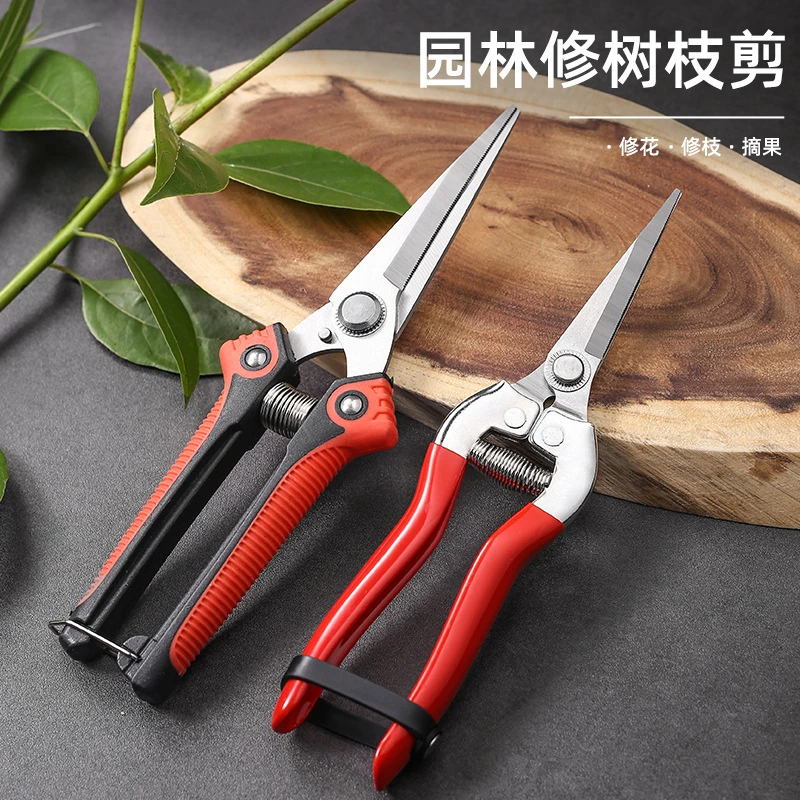 园艺剪修枝剪枝园林修花剪子花卉园艺剪刀采果剪疏花剪蔬菜采摘剪