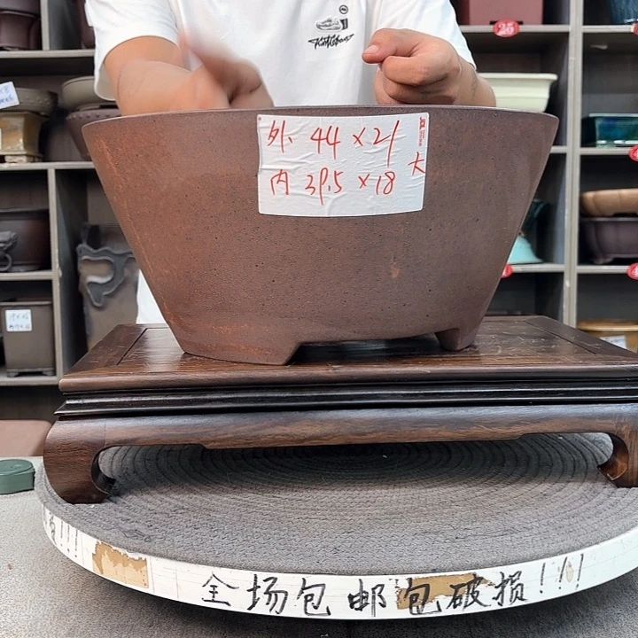 紫砂花盆紫砂的花也太美