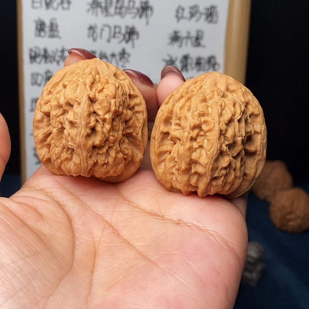 手串文玩核桃龟甲大蟾王