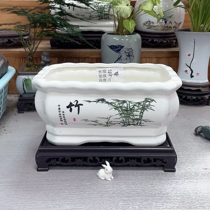 花盆精美双11抢购福利