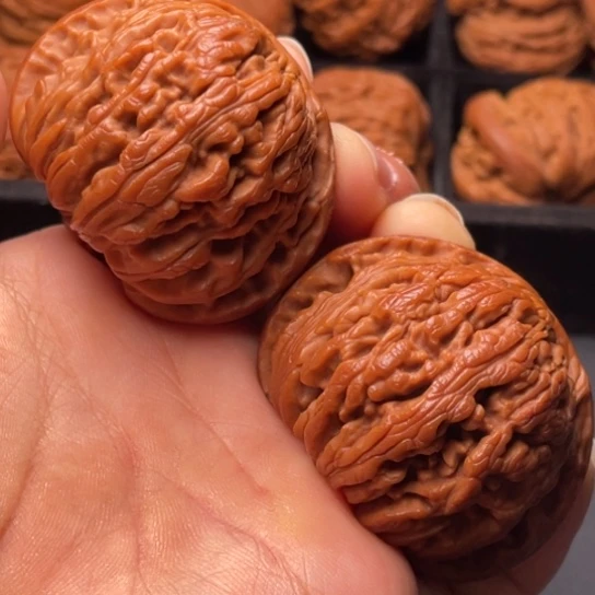 文玩核桃把件秦岭山脉核桃