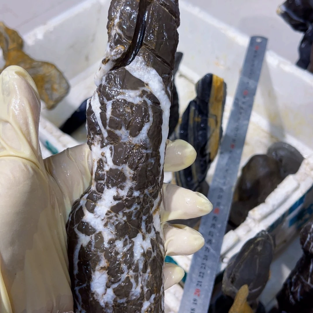 花**景附石盆景一物一拍